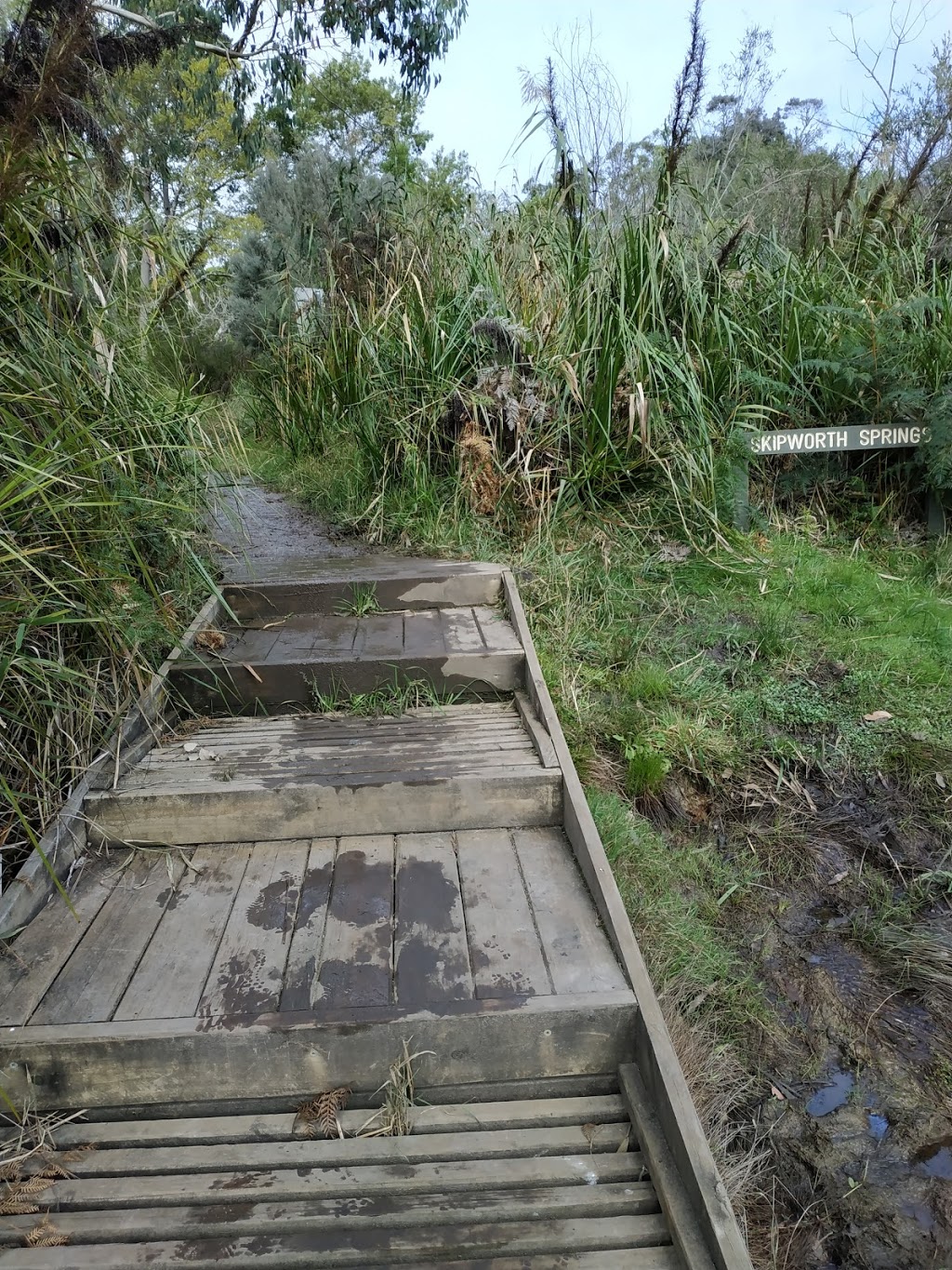 Paestan Canoe Hire |  | 75 Winnap-Nelson Rd, Winnap VIC 3304, Australia | 0429381875 OR +61 429 381 875