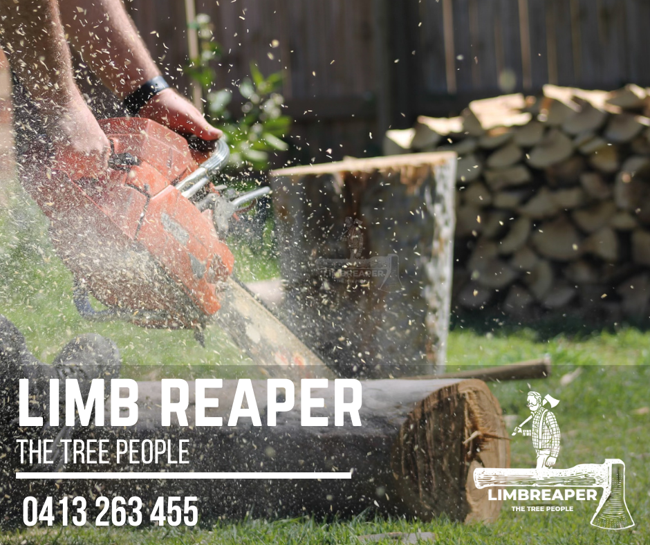 Limb Reaper | 19 Batman Dr, Redbank Plains QLD 4301, Australia | Phone: 0413 263 455