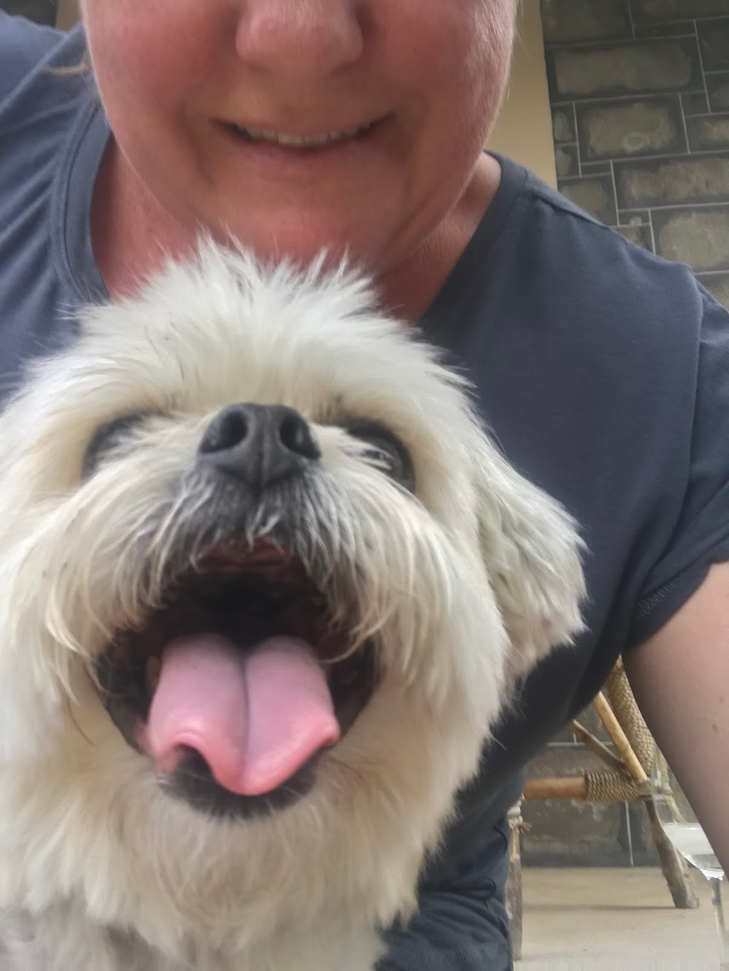 Fiona the Pet Carer | South Terrace, Semaphore SA 5019, Australia | Phone: 0448 867 783