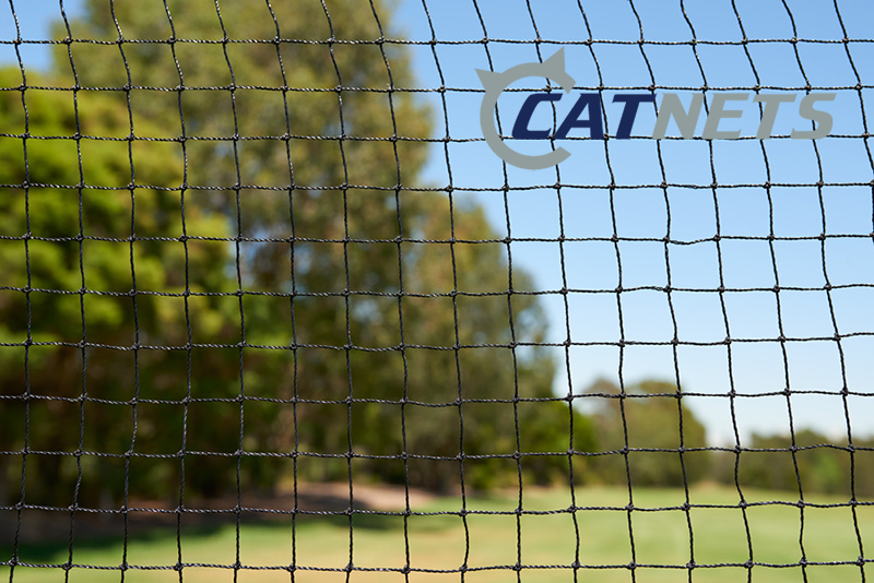 Catnets |  | 95 Carrington St, Revesby NSW 2212, Australia | 0297720889 OR +61 2 9772 0889