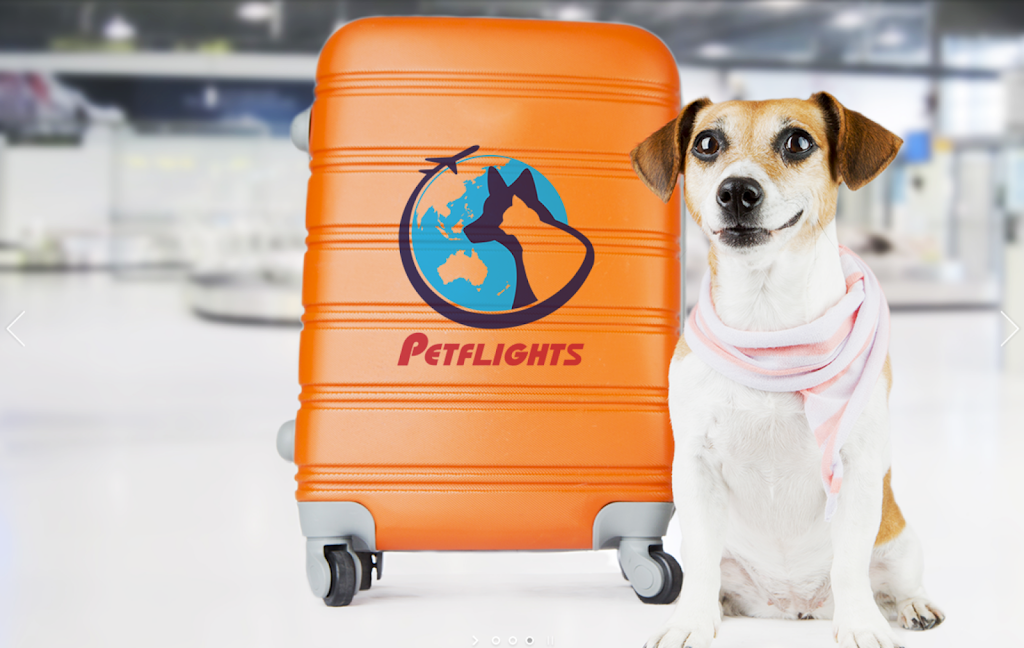 PetFlights Pet Transport Brisbane | 16 Lennons Rd, Greenbank QLD 4124, Australia | Phone: (07) 3062 6719