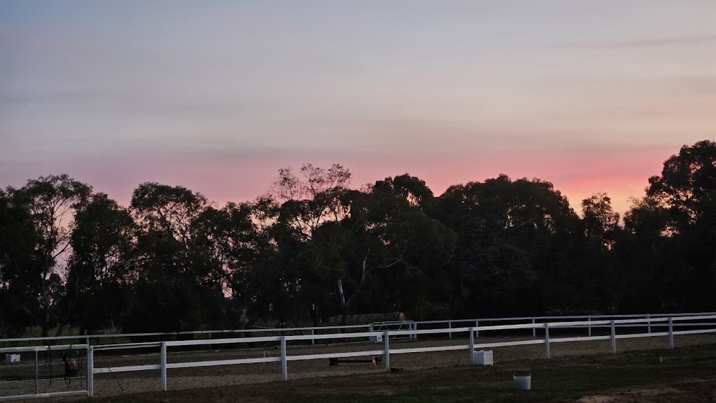 Eliza Pamela Equestrian | 575 Craven Rd, Tatura East VIC 3616, Australia | Phone: 0498 999 628 Eliza Pamela Equestrian | 575 Craven Rd, Tatura East VIC 3616, Australia | Phone: 0498 999 628