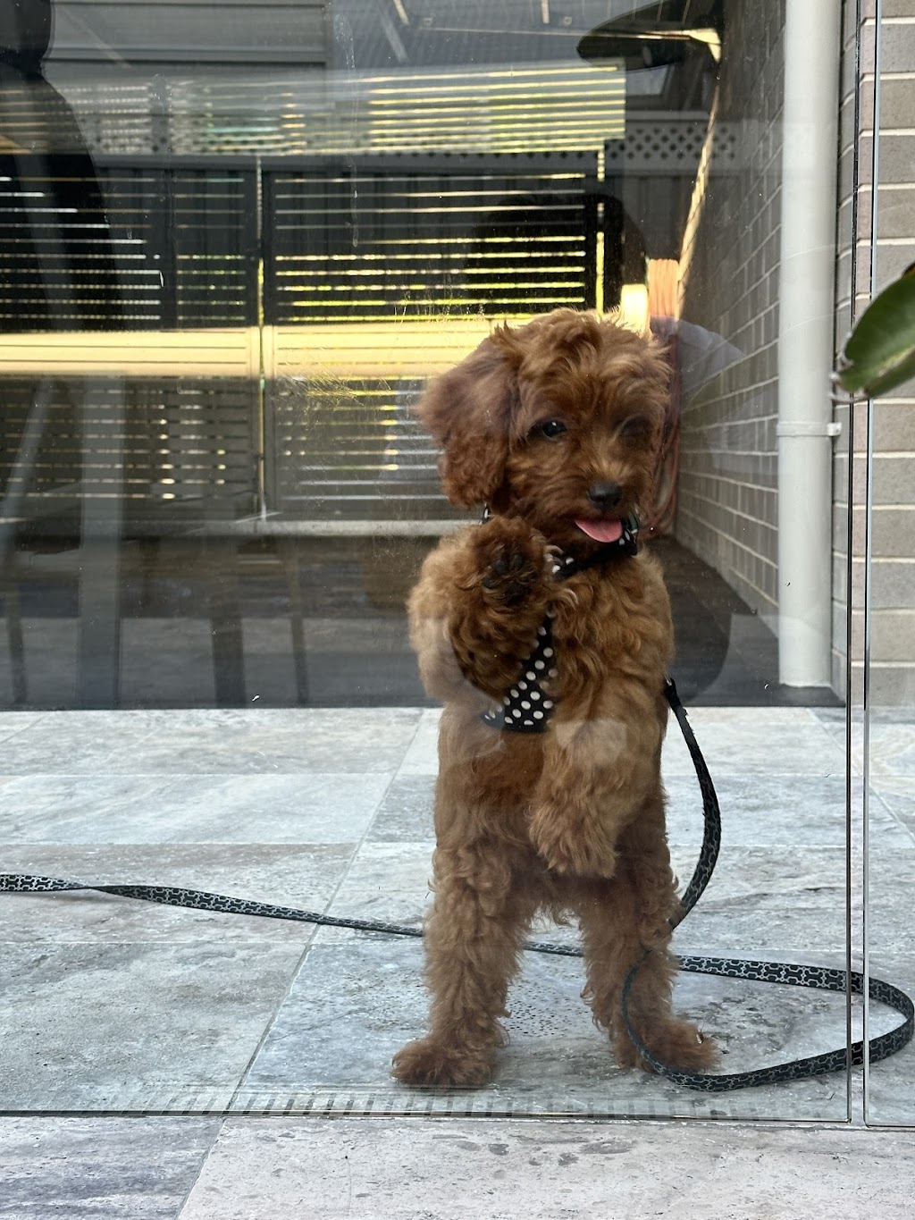 Rengor executive retreat at 5 Rengor Close | Rengor Cl, Belmont North NSW 2280, Australia | Phone: 0414 933 377