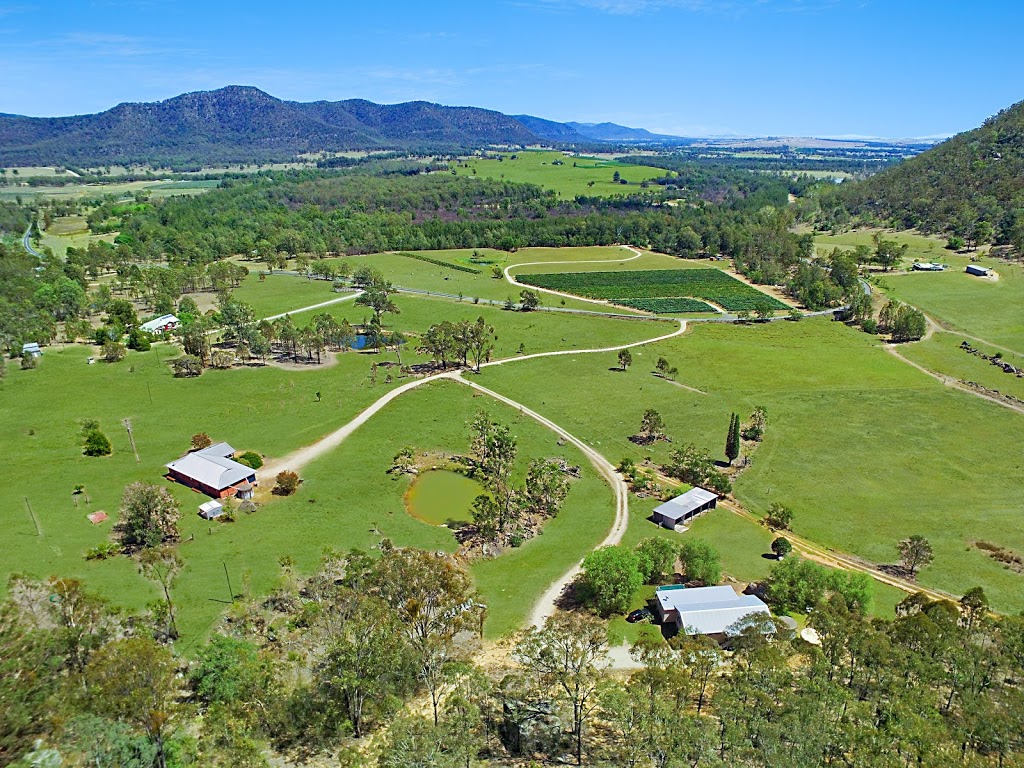 Rosamund Hill Estate - self contained holiday rentals | lodging | 363 Wollombi Rd, Broke NSW 2330, Australia | 0432892117 OR +61 432 892 117