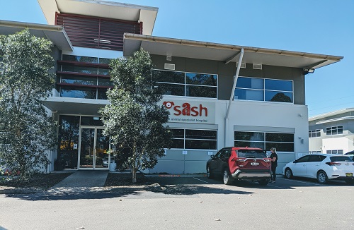 SASH - the Small Animal Specialist Hospital | 2 Bounty Cl, Tuggerah NSW 2259, Australia | Phone: 61 2 4311 1311