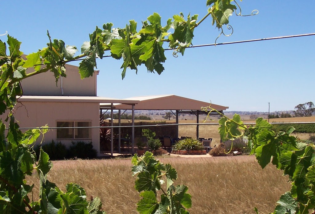 Gallagher Wines | tourist attraction | Dog Trap Rd, Jeir NSW 2582, Australia | 0412699830 OR +61 412 699 830
