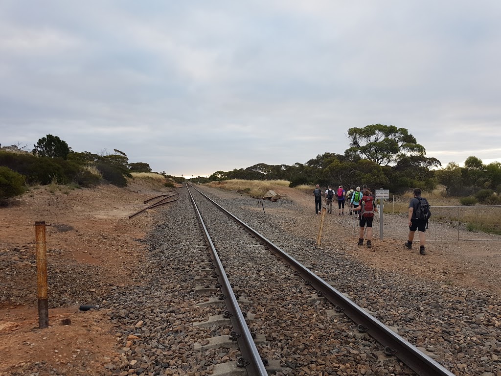 Lavender Federation Trail | Murray Bridge SA 5253, Australia