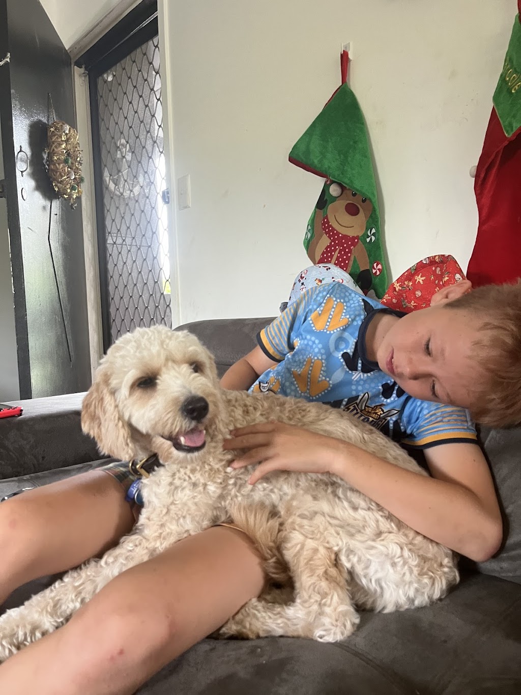 North Straddie Pet Sitting | 37 Finnegan St, Dunwich QLD 4183, Australia | Phone: 0409 418 378