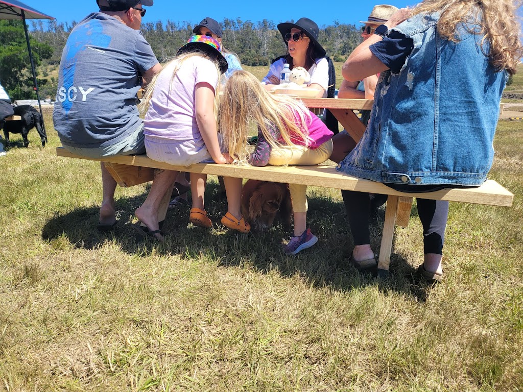 Carlton River RV Park | 104 Primrose Sands Rd, Carlton River TAS 7173, Australia | Phone: 1300 104 173 Carlton River RV Park | 104 Primrose Sands Rd, Carlton River TAS 7173, Australia | Phone: 1300 104 173