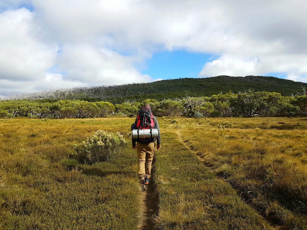 Track to Tali Karng | Buragwonduc VIC 3858, Australia