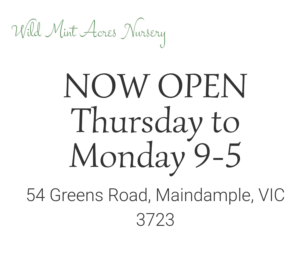 Wild Mint Acres | 54 Greens Rd, Maindample VIC 3723, Australia | Phone: 0475 352 121