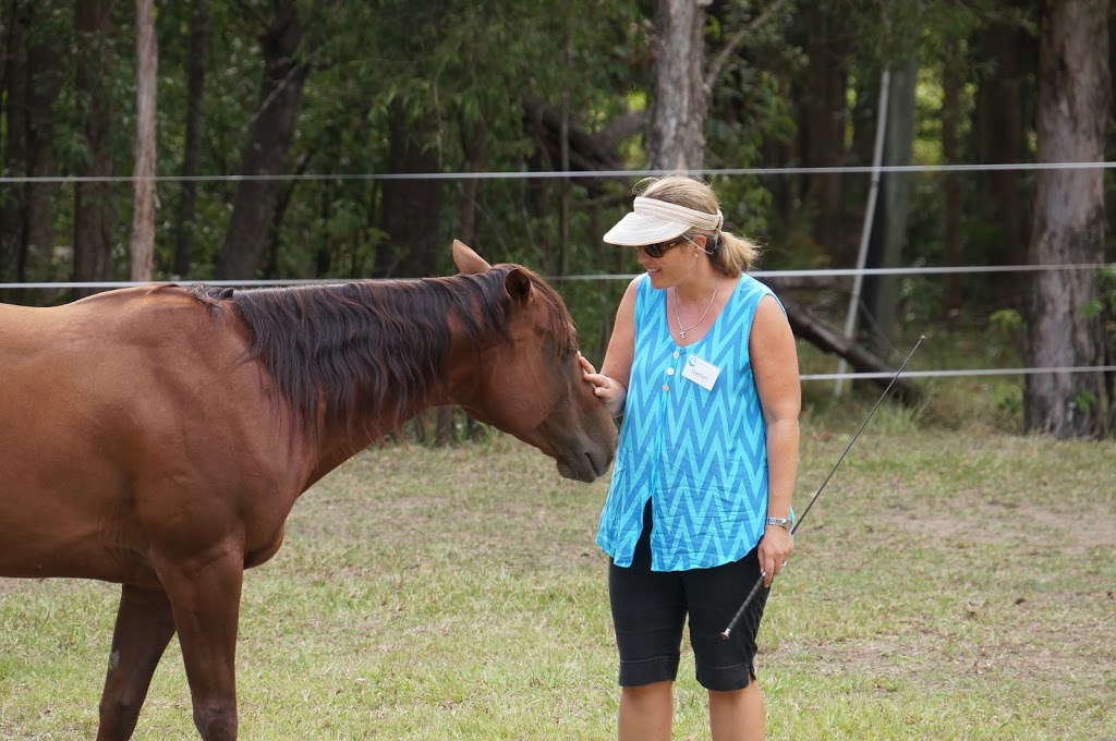 Skerrett Equine | 505 Crossmaglen Rd, Bonville NSW 2450, Australia | Phone: 0413 072 922