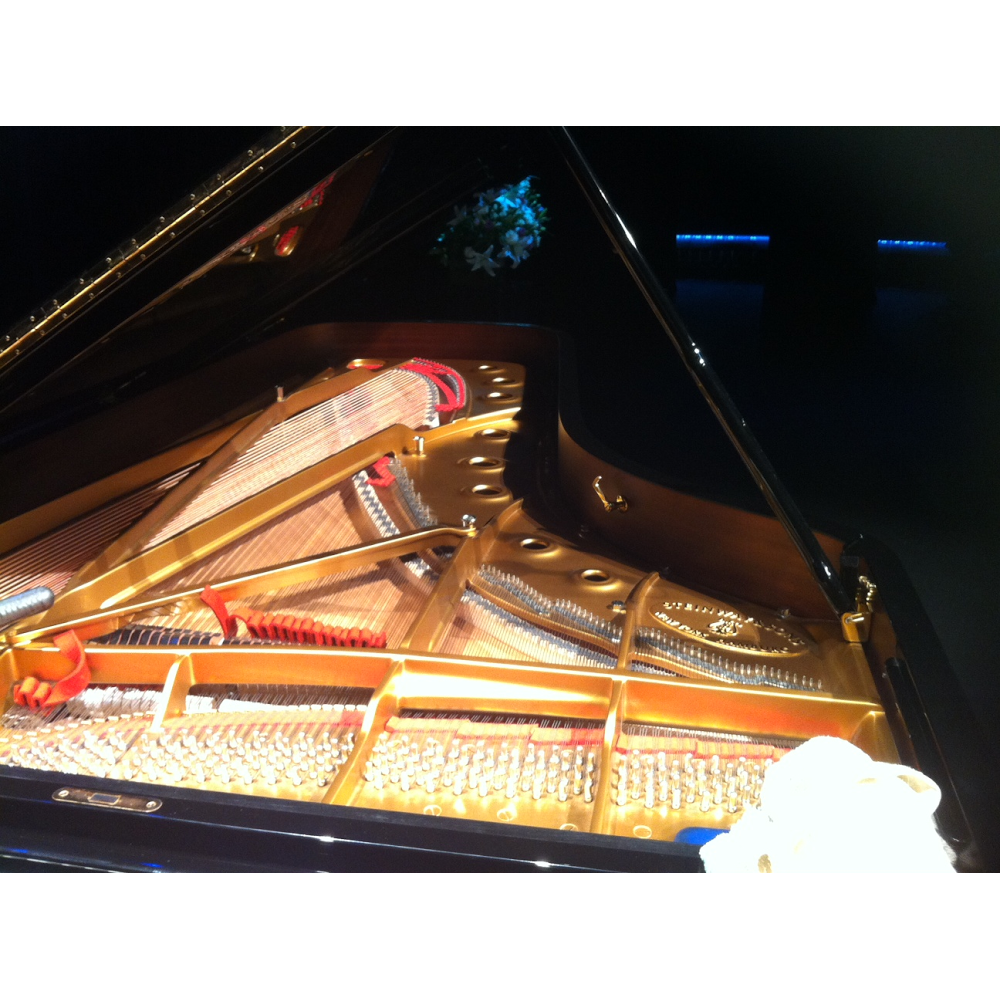 Gold Coast to Redland Bay Piano Tuner |  | 13 Melaleuca Dr, Lamb Island QLD 4184, Australia | 0413831248 OR +61 413 831 248