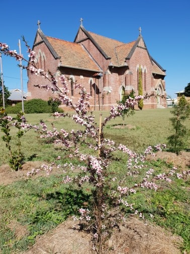 Sacred Earth Funerals | funeral home | 45-47 Queen Elizabeth Dr, Coraki NSW 2471, Australia | 1300585778 OR +61 1300 585 778