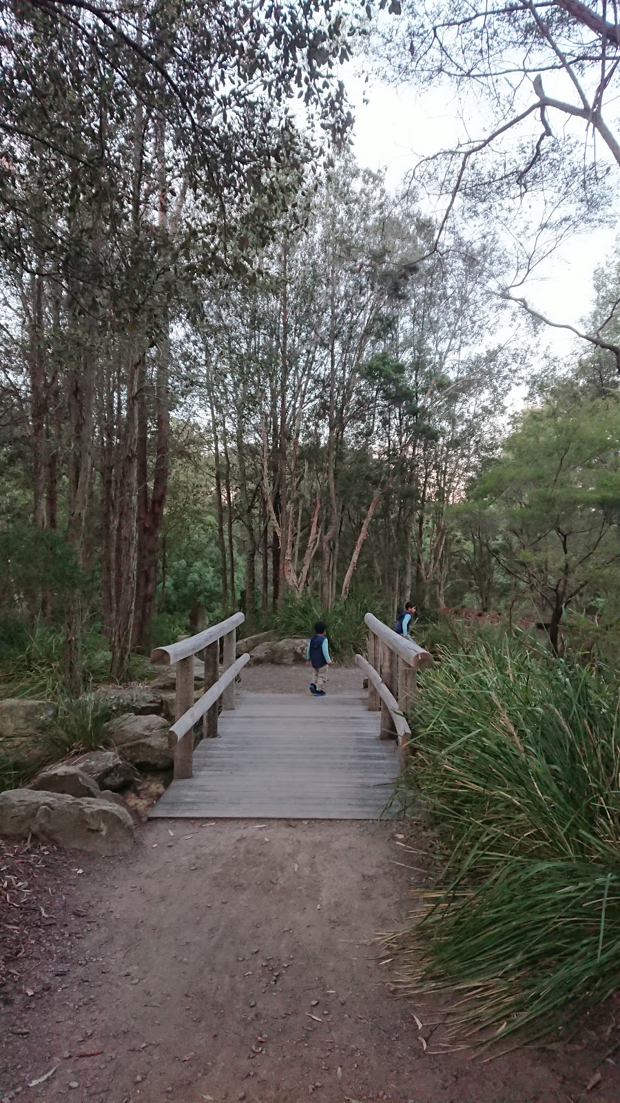 Japanese Garden | park | 48/38 Fagans Rd, Galston NSW 2159, Australia