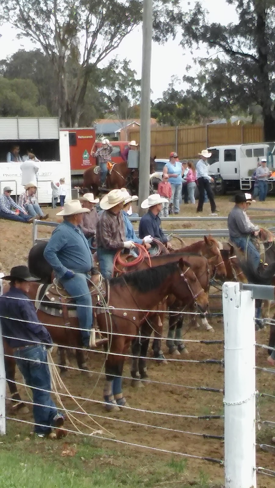 Upper Hunter Show | Rutherford Rd, Muswellbrook NSW 2333, Australia | Phone: (02) 6541 2014