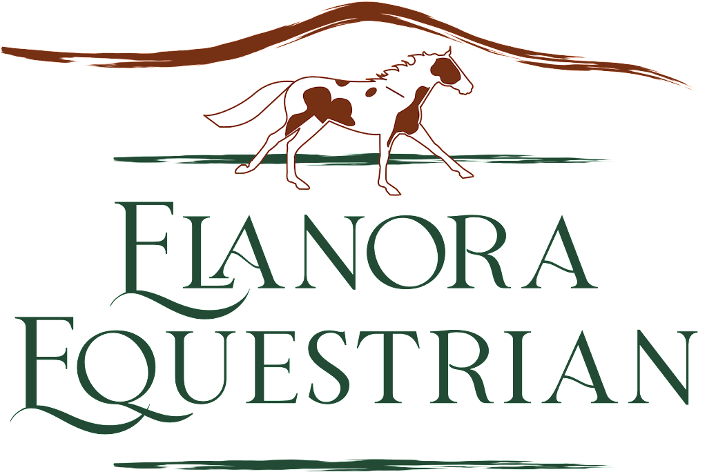 Elanora Equestrian | Ramornie Station Rd, Ramornie NSW 2460, Australia | Phone: 0412 010 676