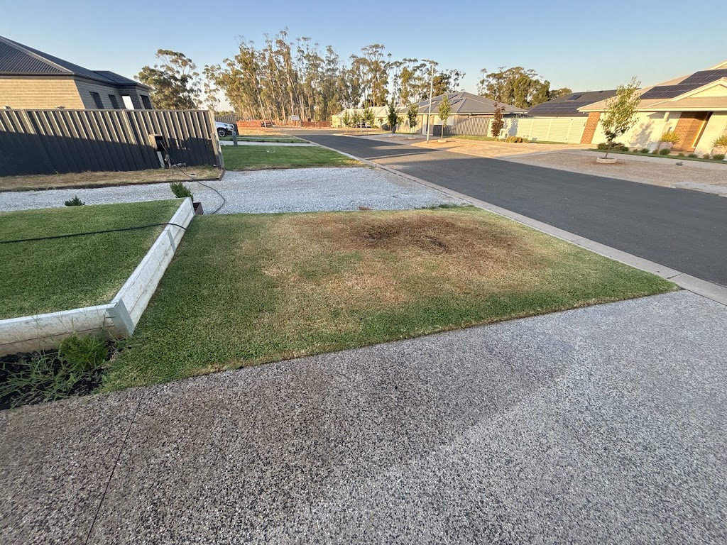 Evergreen lawn maintenance | 272 River St, Corowa NSW 2646, Australia | Phone: 0407 225 101