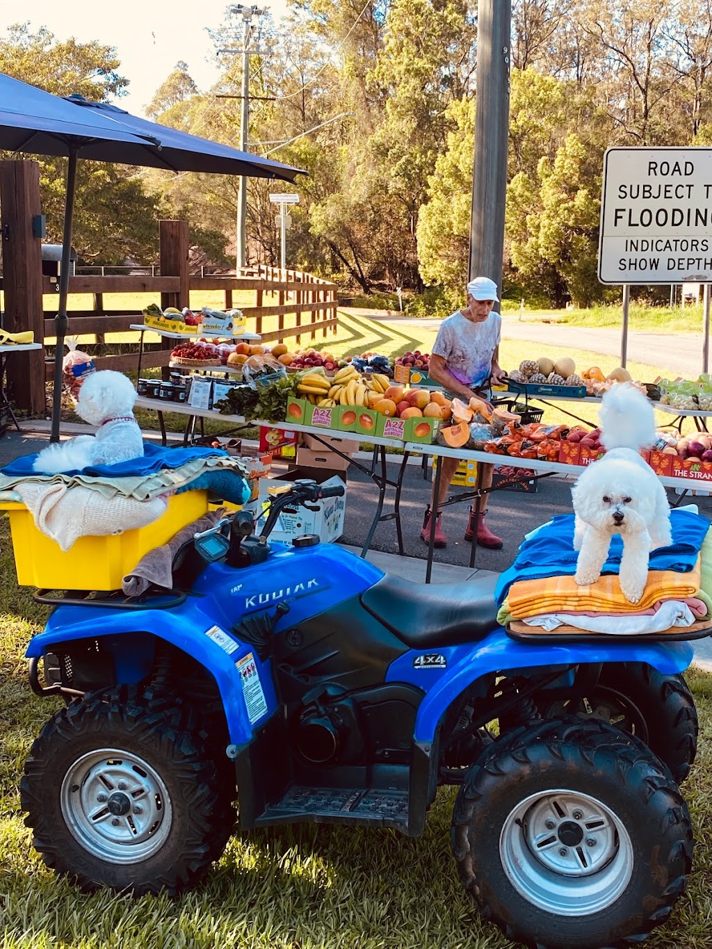The Village Grocer Store & Farm Gate Market | 36 Tarata Rd, Guanaba QLD 4210, Australia | Phone: 0438 773 937
