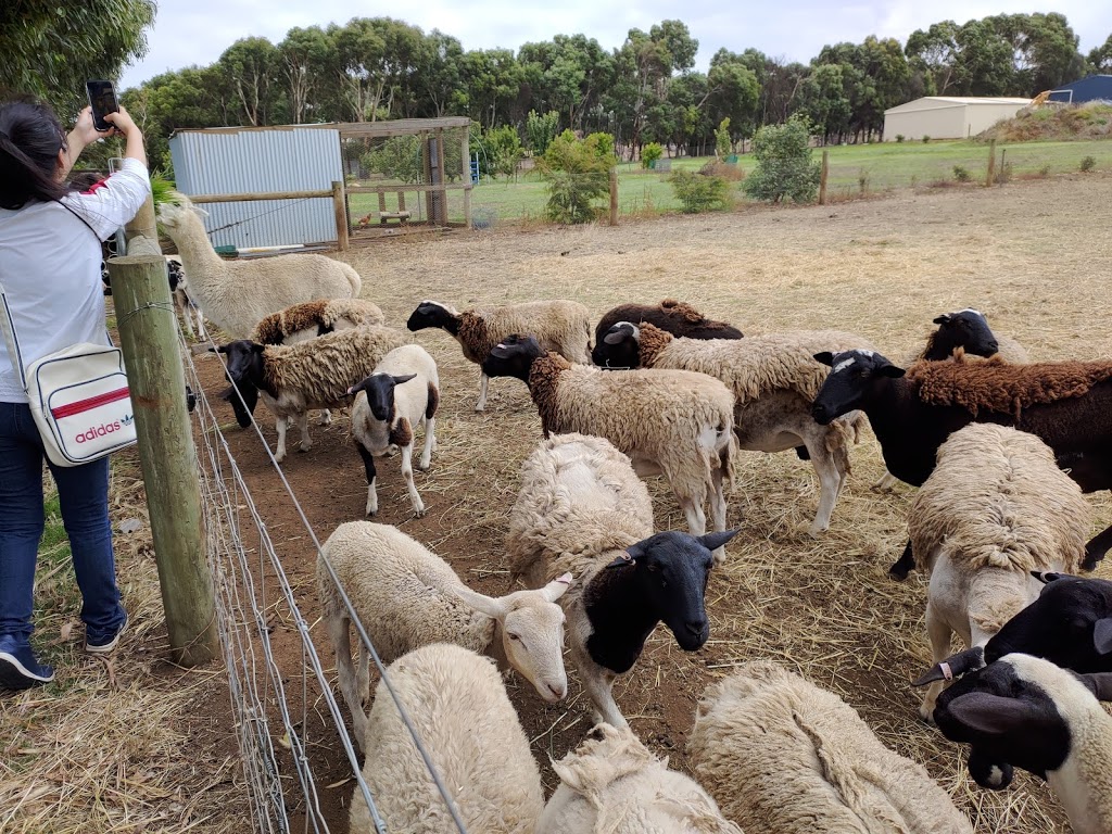 Volcano Garlic and Produce | 626 Princes Hwy, Illowa VIC 3282, Australia | Phone: 0402 010 250