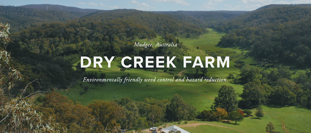 Dry Creek Farm Mudgee |  | Dry Creek Rd, Botobolar NSW 2850, Australia | 0263734444 OR +61 2 6373 4444