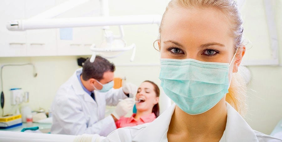 Chadstone Dentists | dentist | 1342 Dandenong Road, Chadstone VIC 3148, Australia | 0395634474 OR +61 3 9563 4474