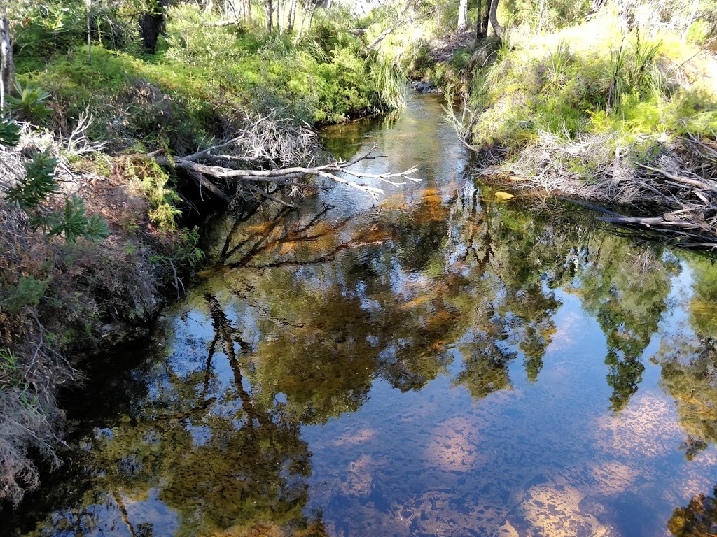 Searys Creek Day Use Area | Great sandy national park, Cooloola QLD 4580, Australia