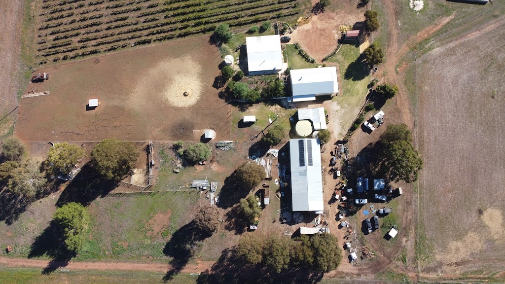 Downderry Wines | tourist attraction | 25 Graham Rd, Dumberning WA 6312, Australia | 0427814903 OR +61 427 814 903
