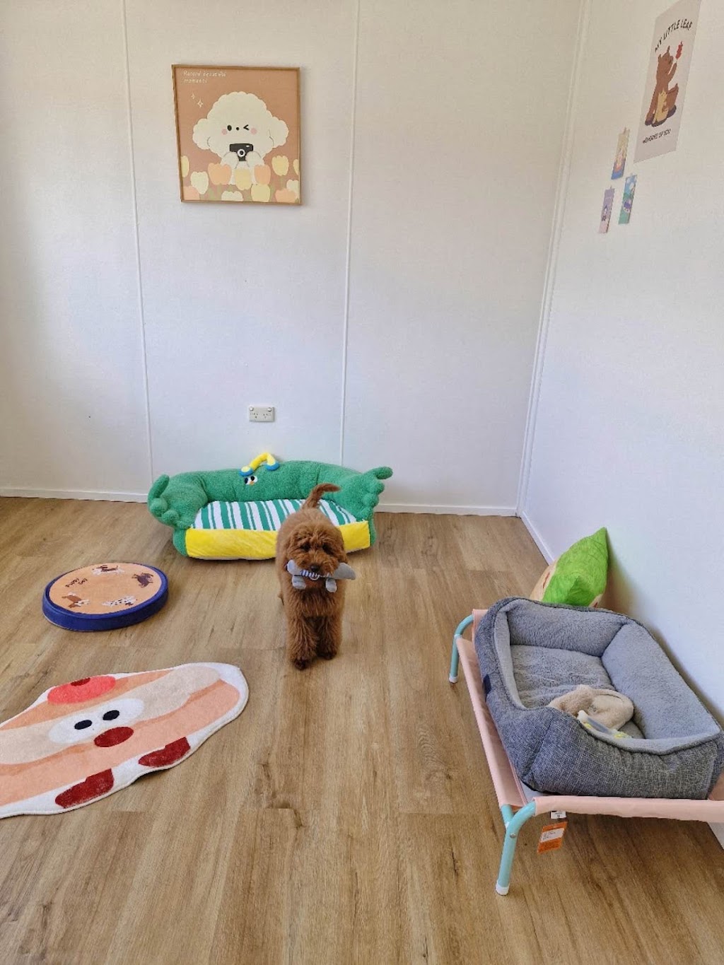 Pawfect Stay | 247 Reynolds Rd, Londonderry NSW 2753, Australia | Phone: 0413 866 896