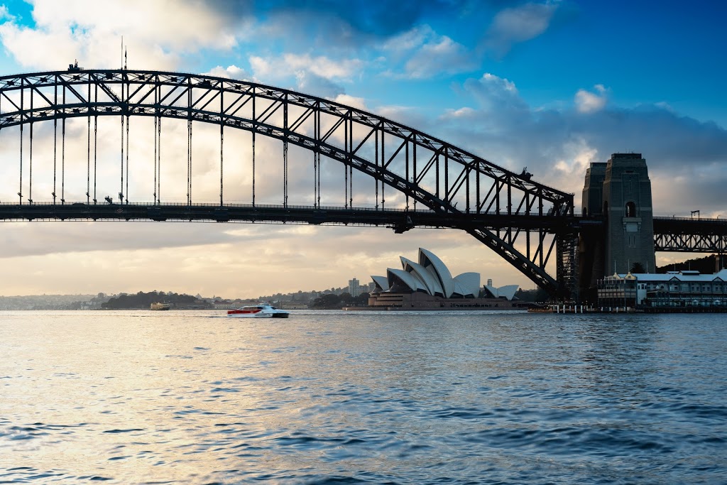 Sydney Harbour Safaris Boat Tours | 8 Lowing Cl, Forestville NSW 2087, Australia | Phone: 0490 701 016