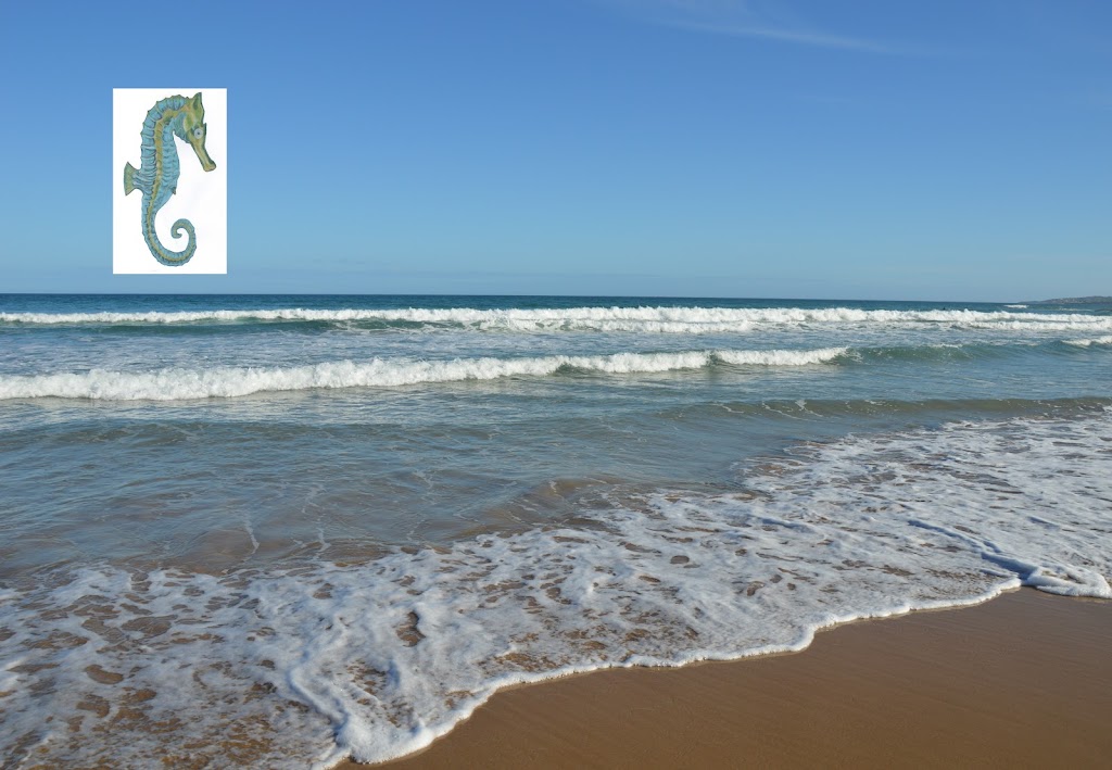 Seahorse Retreat | 1 Surf Ave, Skenes Creek VIC 3233, Australia | Phone: 0421 508 053