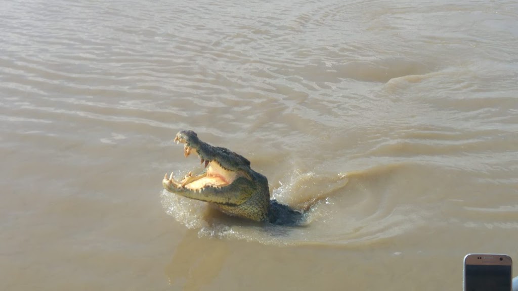 Spectacular Jumping Crocodile Cruise | travel agency | Arnhem Hwy, Darwin NT 0836, Australia | 0889789077 OR +61 8 8978 9077