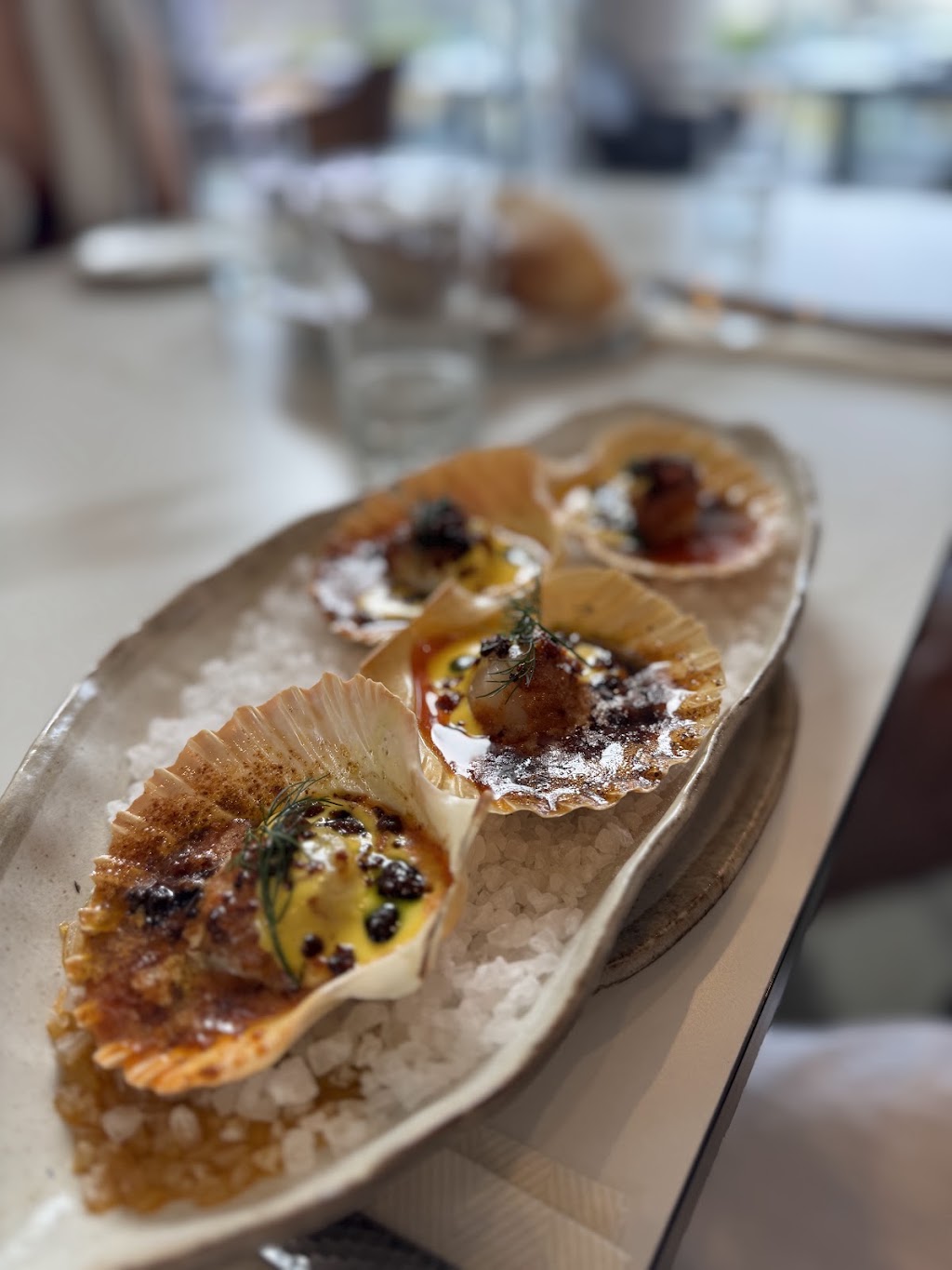 Estancia Adina Italian cuisine | Adina Vineyard & Olive Grove, 492 Lovedale Rd, Lovedale NSW 2325, Australia | Phone: 0409 631 147