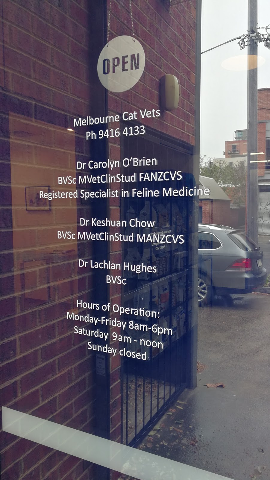 Melbourne Cat Vets | 157 Westgarth St, Fitzroy VIC 3065, Australia | Phone: (03) 9416 4133