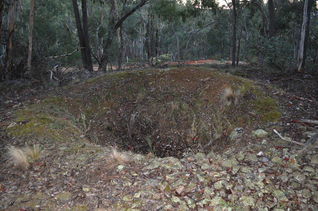 Mount Gray Walking Track | Bald Ridge Rd, Abercrombie River NSW 2795, Australia | Phone: 1300 072 757