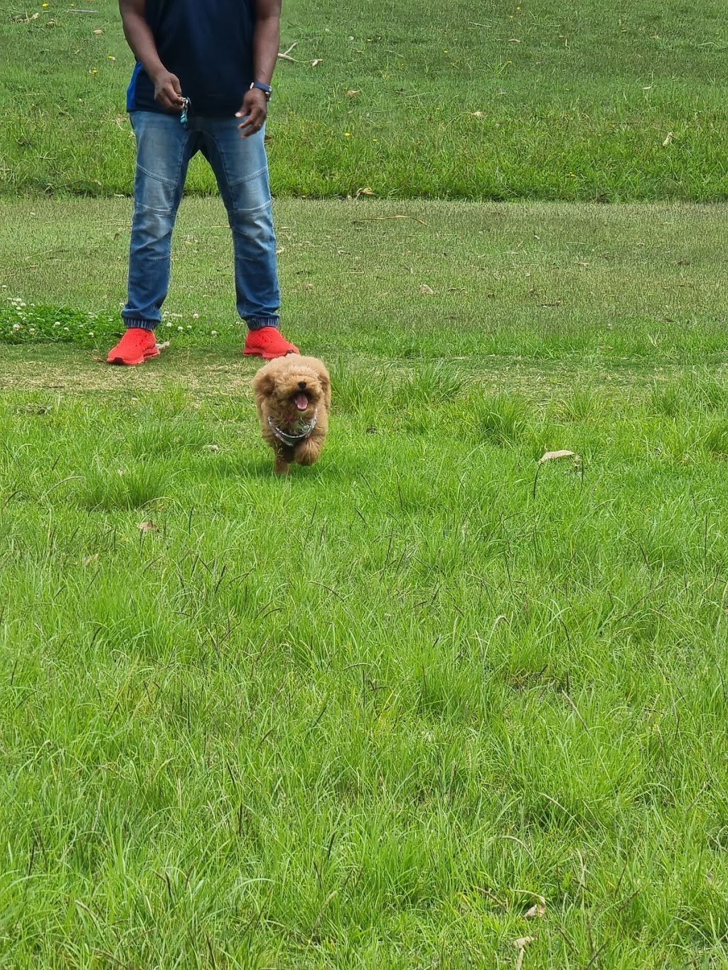 Eastern Road Oval | Killarney Vale NSW 2261, Australia | Phone: (02) 4350 5555