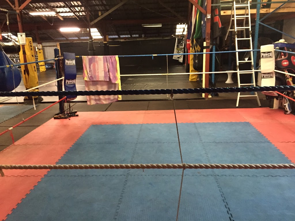 Hard Knocks Fitness and Martial Arts Centre | 74 Andrew St, Wynnum Central QLD 4178, Australia | Phone: (07) 3348 7859