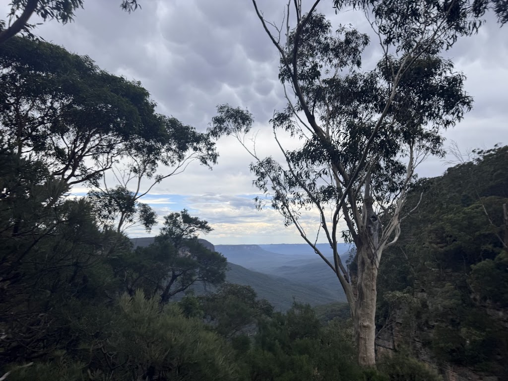 High and Wild | 207 Katoomba St, Katoomba NSW 2780, Australia | Phone: (02) 4782 6224