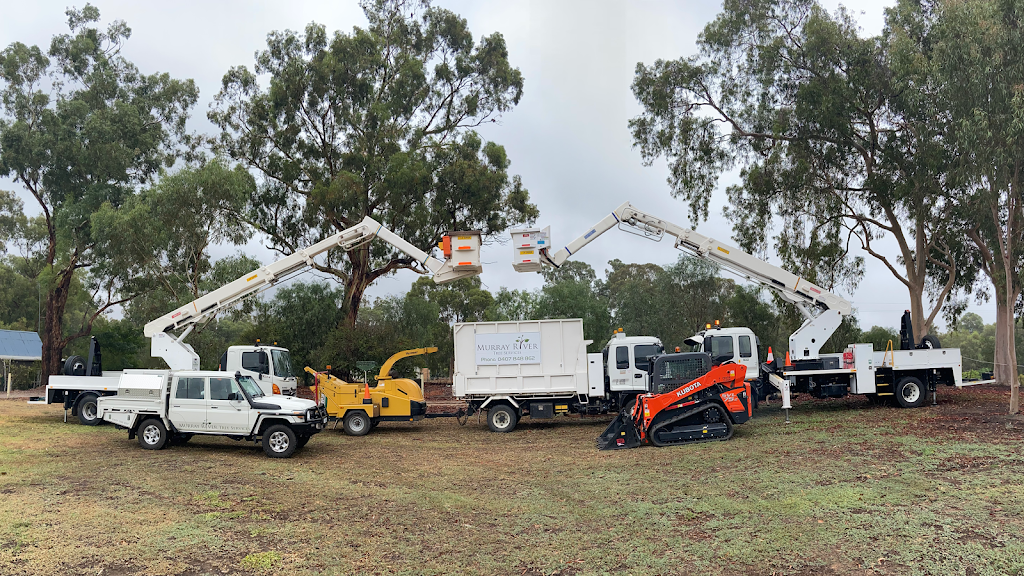 Murray River Tree Services |  | Pasley St, Bundalong VIC 3730, Australia | 0437799837 OR +61 437 799 837