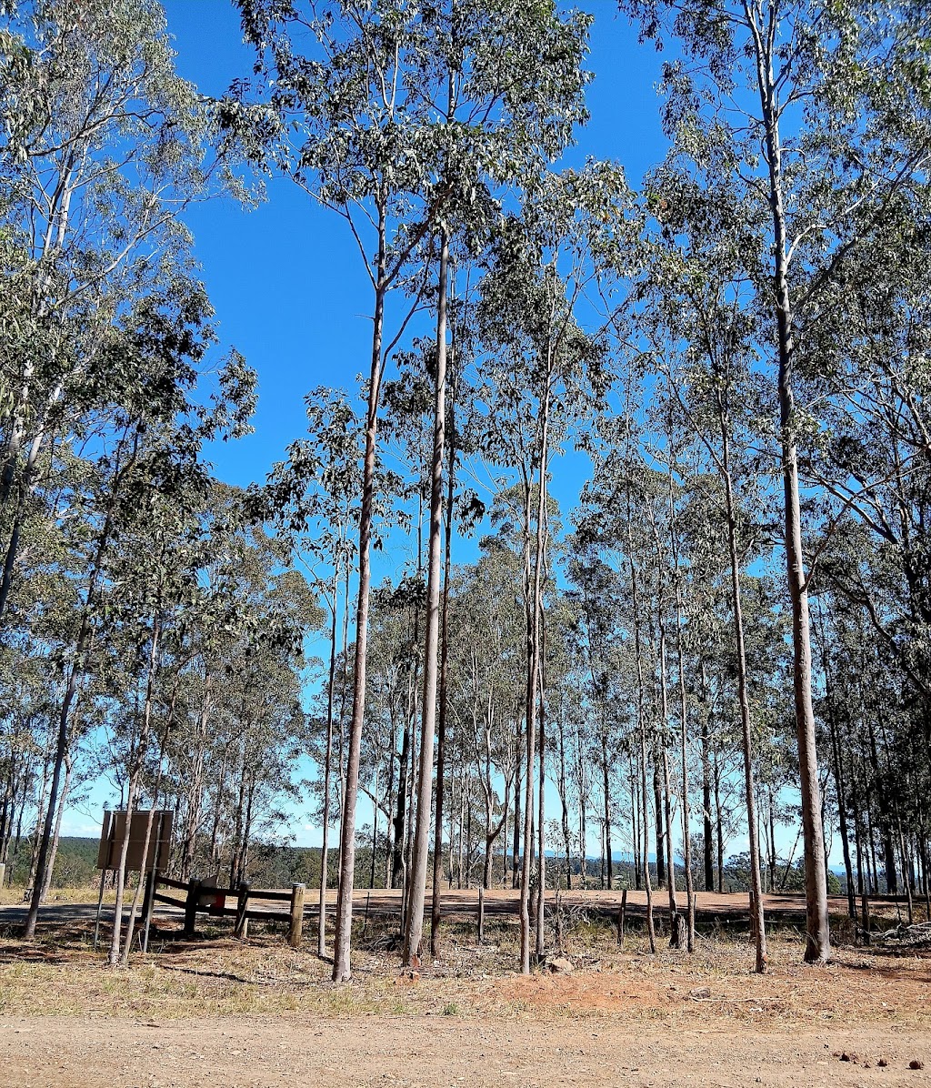 Bom Bom State Forest Campground | Bom Bom NSW 2460, Australia | Phone: (02) 9872 0111