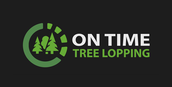 On Time Tree Lopping |  | No Address, Ambarvale NSW 2560, Australia | 0402239511 OR +61 402 239 511