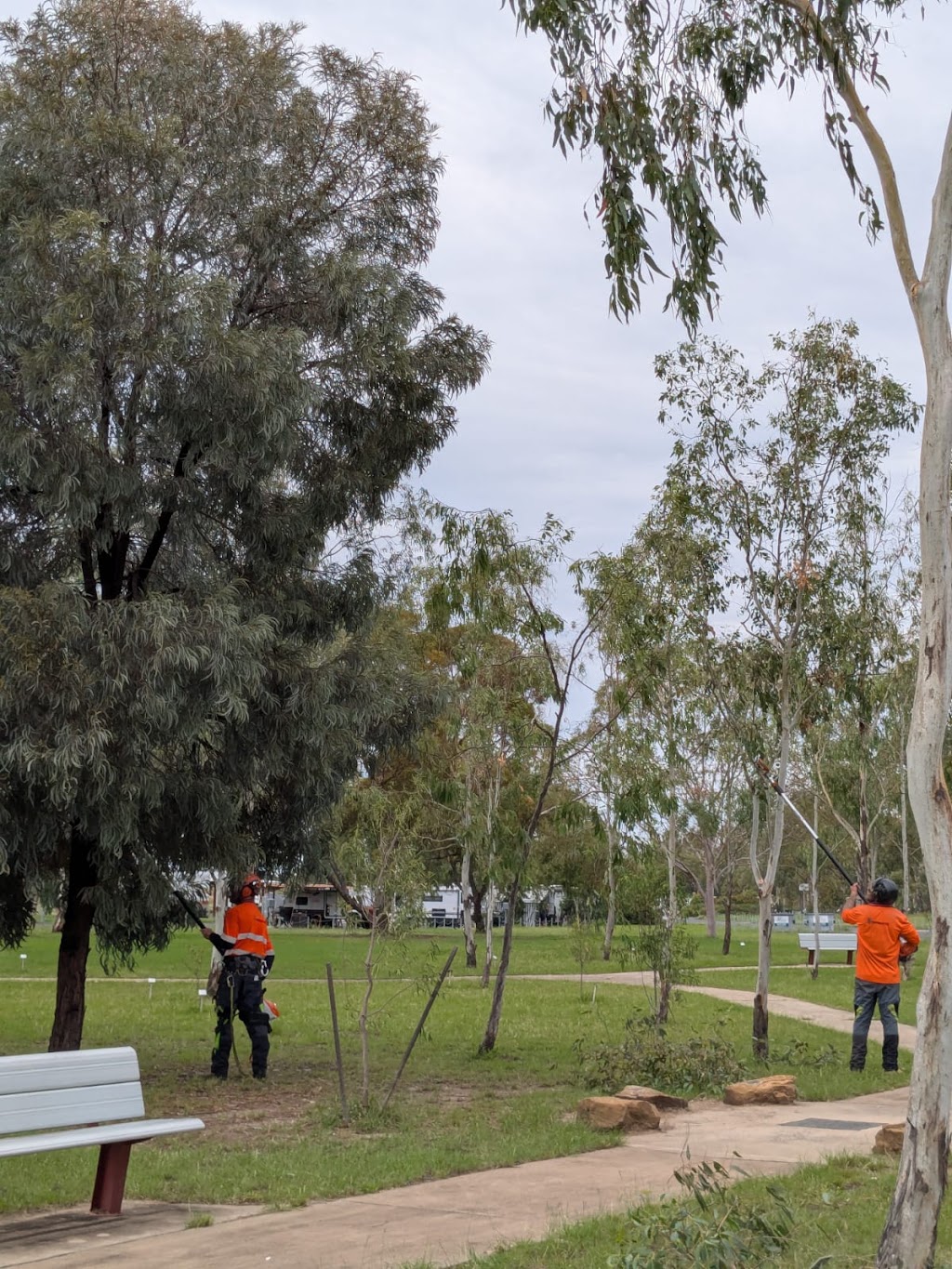 Tabernacle Timber | 4947 Chinchilla Tara Rd, Tara QLD 4421, Australia | Phone: 0423 025 861