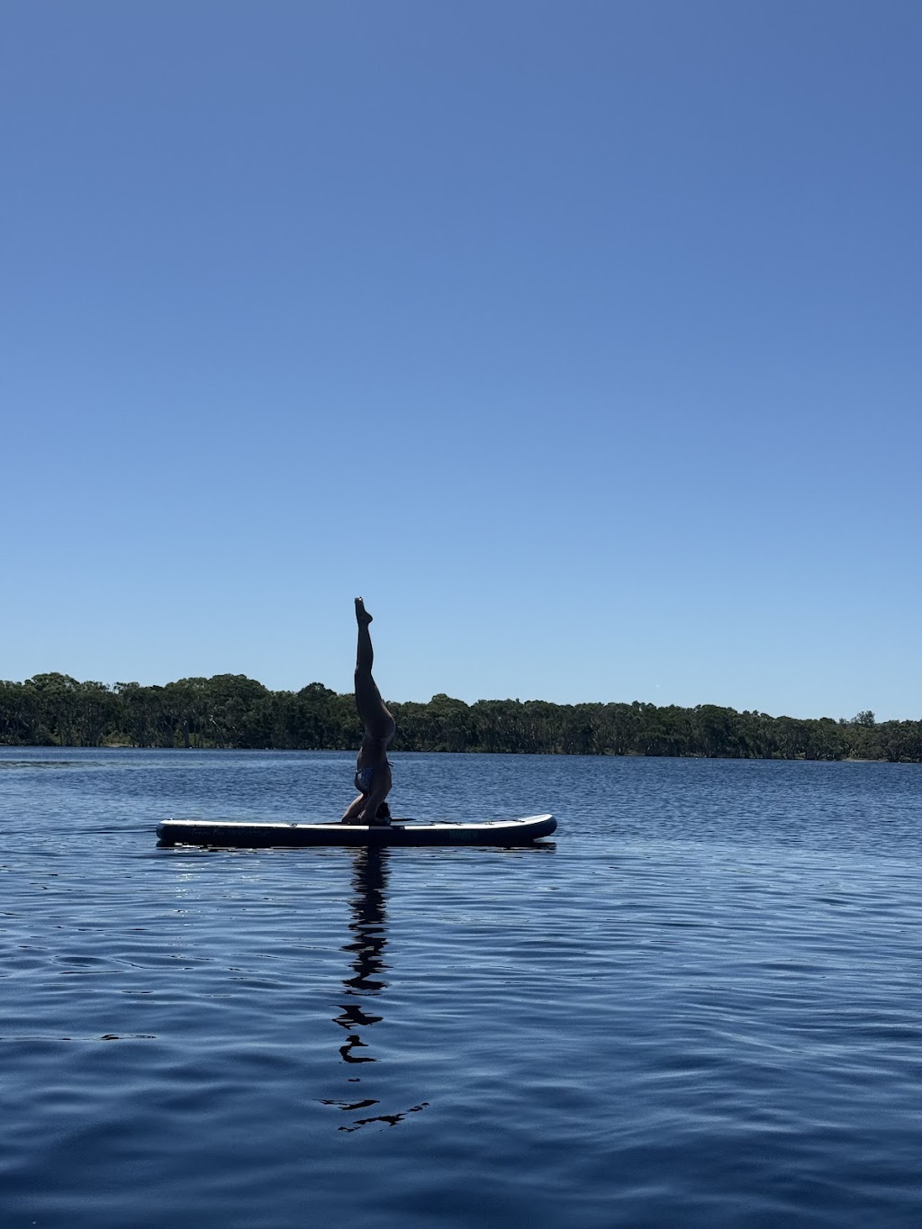 Behind the Bay | 35 Johnston Ln, Ewingsdale NSW 2481, Australia | Phone: 0425 879 039