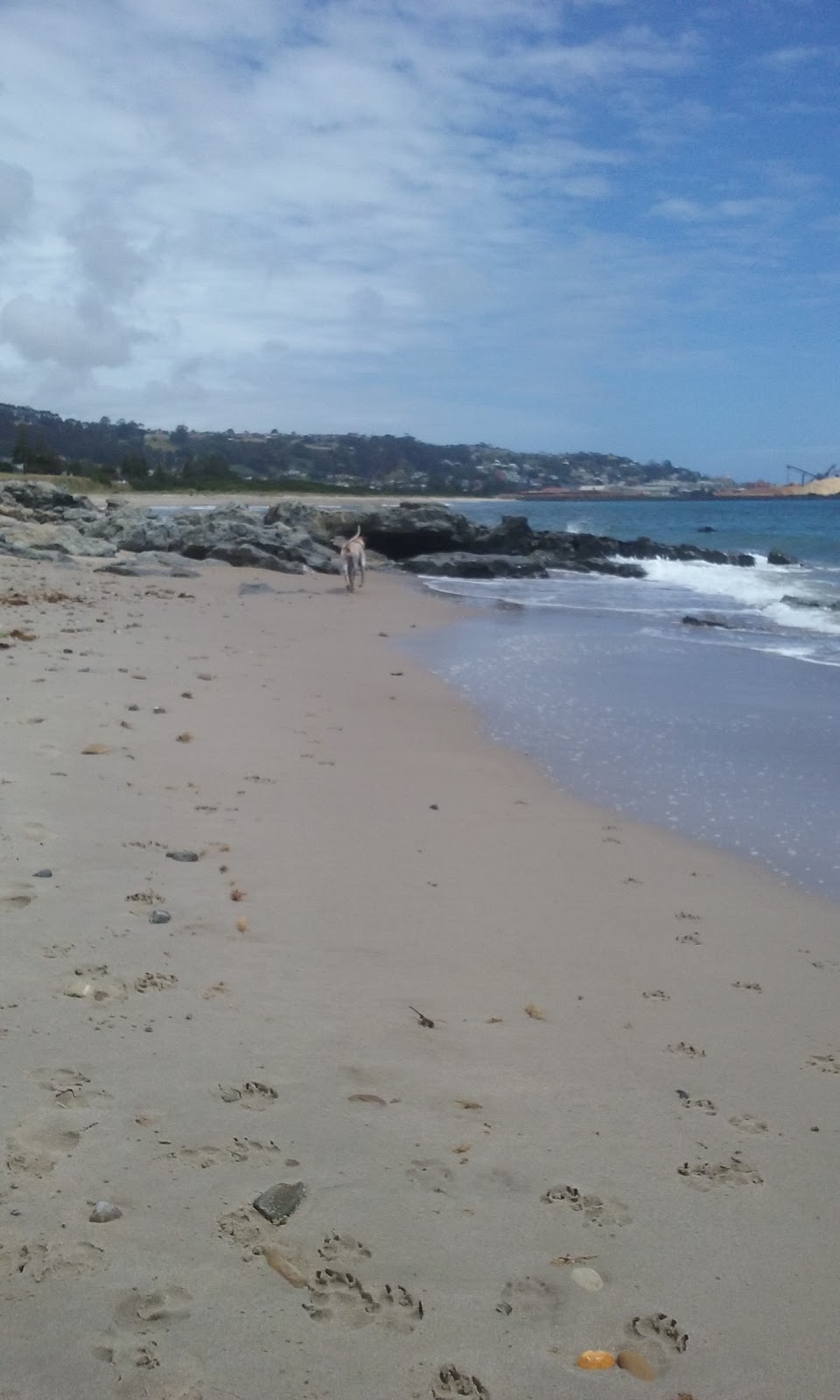 South Burnie Dog Beach | The Esplanade, South Burnie TAS 7320, Australia | Phone: 64305700