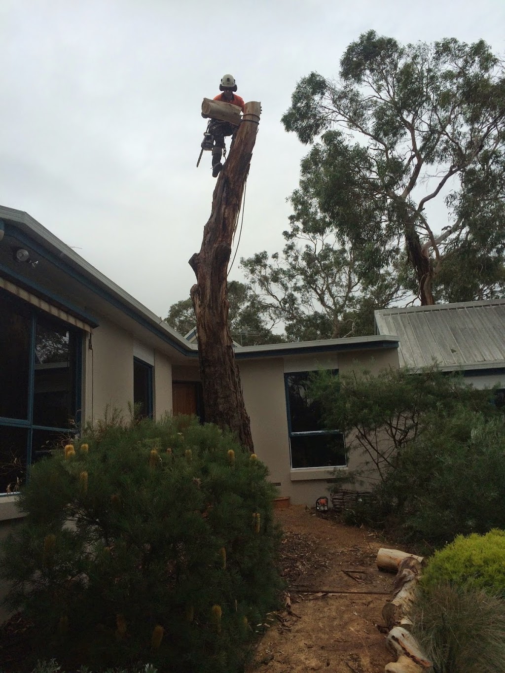 Cut It Right Tree Service | 147 Cadles Rd, Carrum Downs VIC 3201, Australia | Phone: 0415 776 062