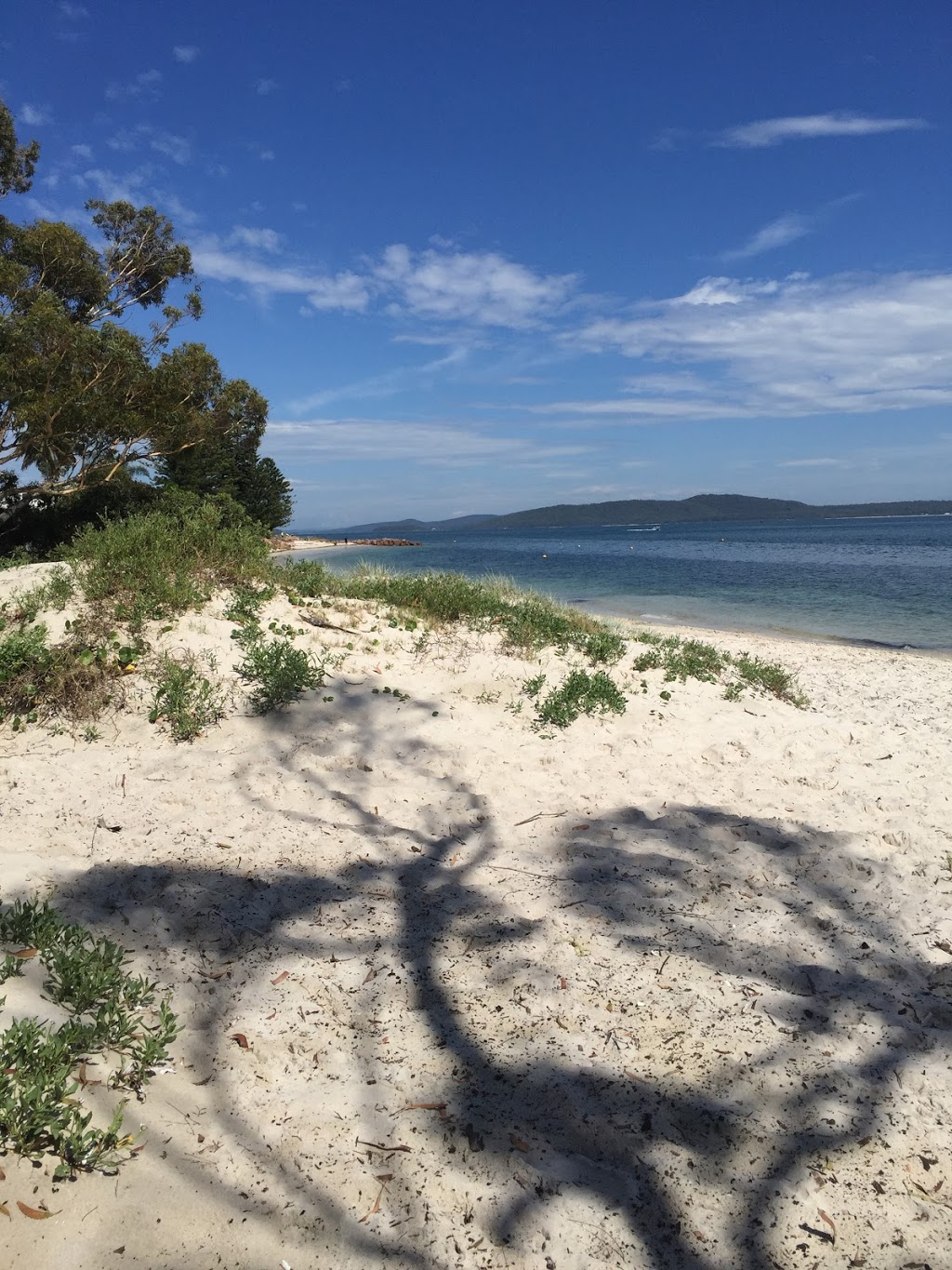 Bagnalls Beach Off-Lead Dog Exercise Area | Bartlett Cycleway, Nelson Bay NSW 2315, Australia