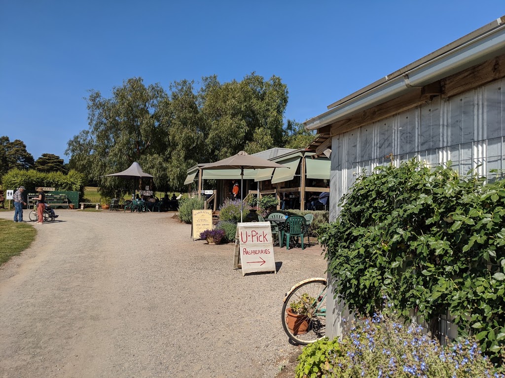 Warratina Lavender Farm |  | 105 Quayle Rd, Wandin North VIC 3139, Australia | 0359644650 OR +61 3 5964 4650