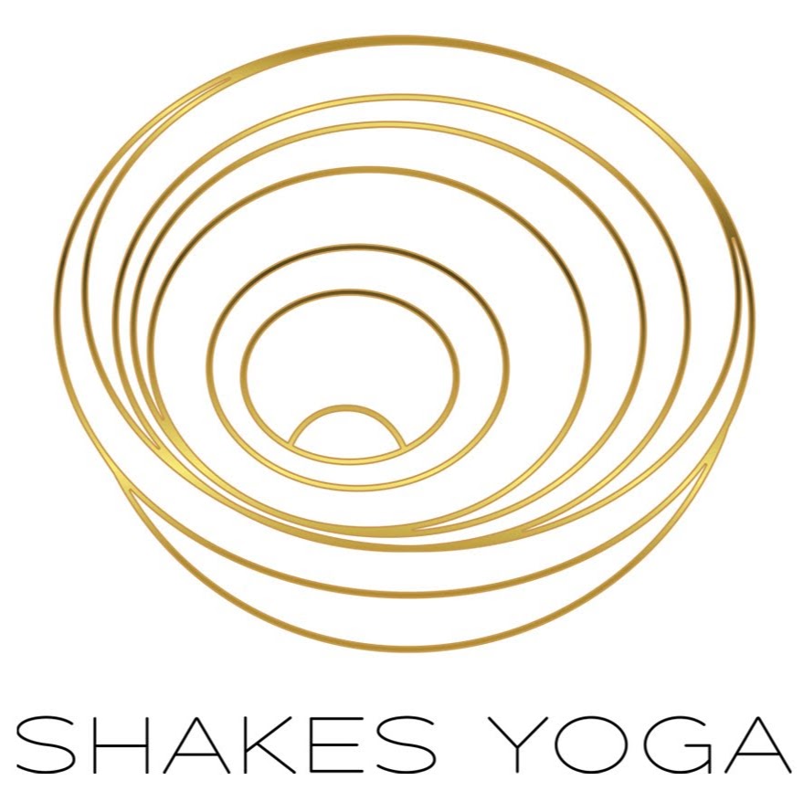 Shakes Yoga | school | 51 Lake St, Forster NSW 2428, Australia | 0433113233 OR +61 433 113 233