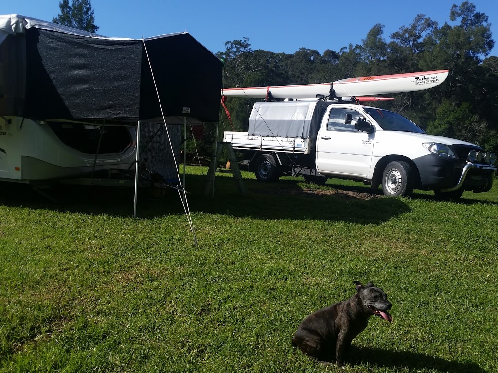 Shallow Crossing Camping Ground | campground | 2350 The River Rd, Mogood NSW 2538, Australia | 0244781183 OR +61 2 4478 1183