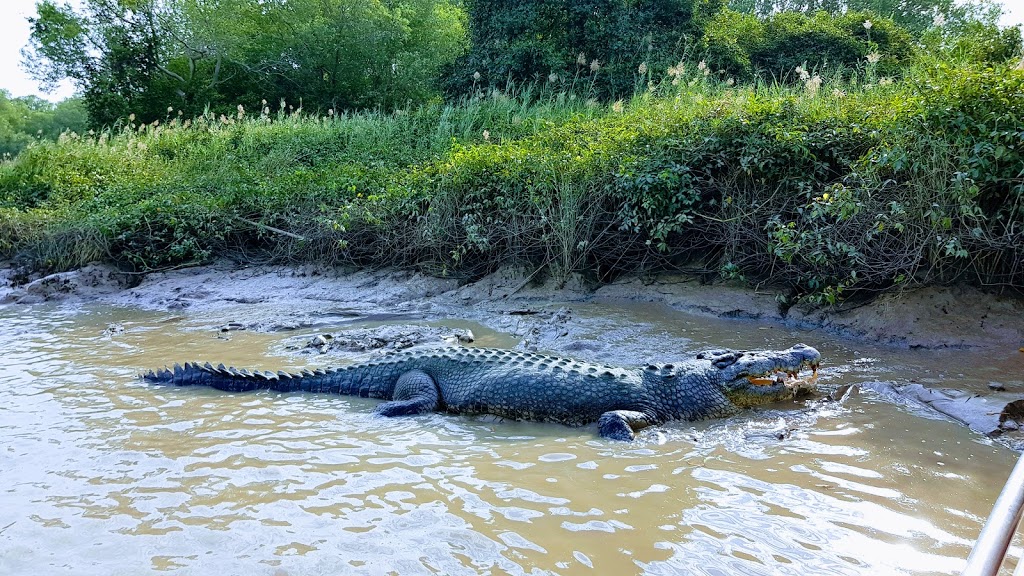 The Original Adelaide River Queen Jumping Crocodile Cruises | Adelaide River Bridge, 3220A Arnhem Hwy, Wak Wak NT 0822, Australia | Phone: (08) 8988 8144